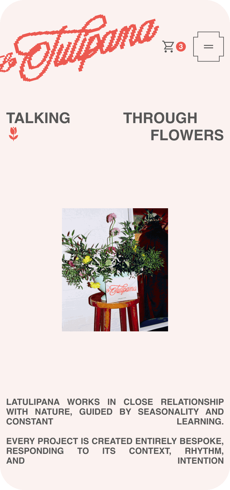 La Tulipana web — about mobile