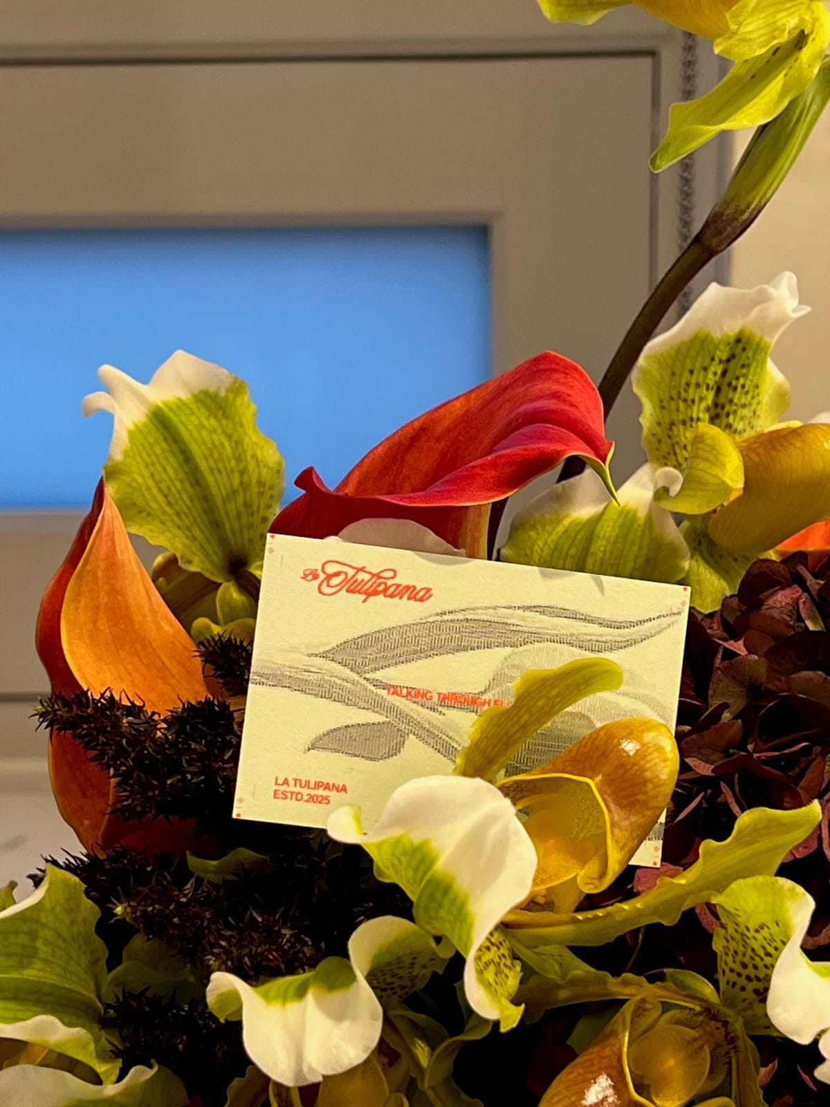 La Tulipana card
